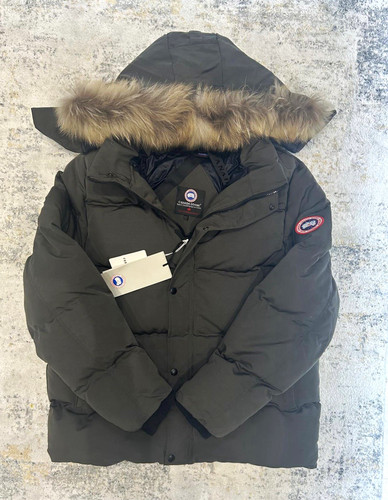 Canada goose men - goose, grey