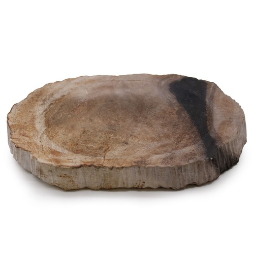 Petrified wood brown - wood, brown/black