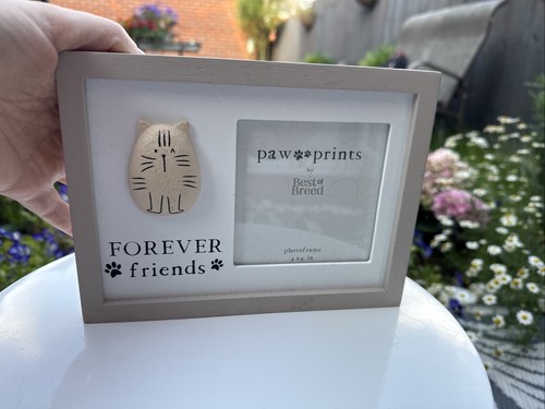 Forever friends cat paw print - friends,