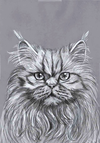 Original pencil artwork - original,