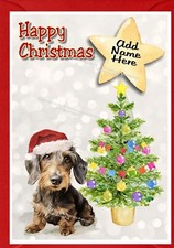 Dachshund Wire Haired Dog