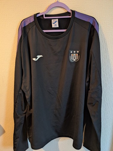 Anderlecht training sweatshirt - anderlecht,