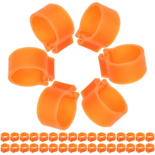 100 pcs practical pigeon foot - practical,