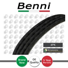 V Ribbed Drive Belt Benni Fits