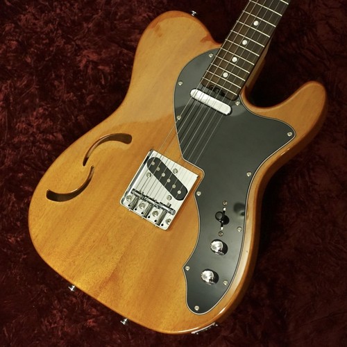 Schecter th ontl - schecter,
