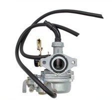 Carburettor PZ19 Replace for
