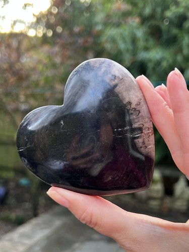 Petrified fossilised wood - fossilised,