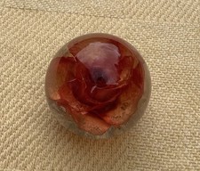 HAFOD GRANGE RED ROSE