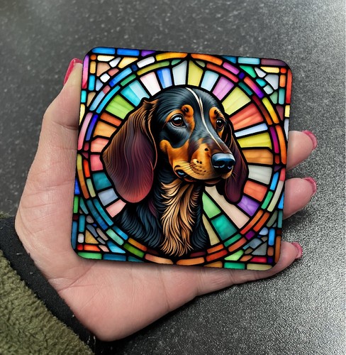 Stunning dachshund sausage dog - stunning,