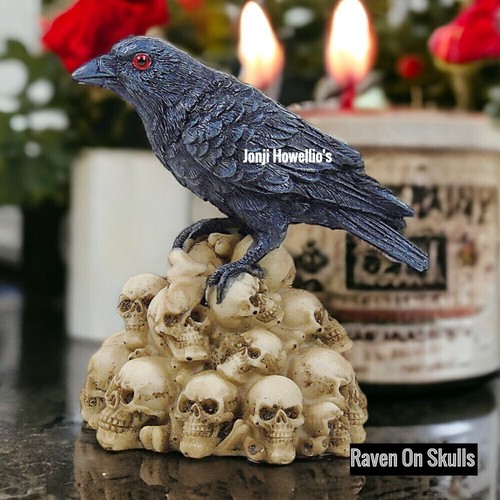 Raven skull pile - raven,