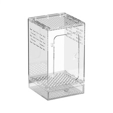 Jumping Spider Enclosure