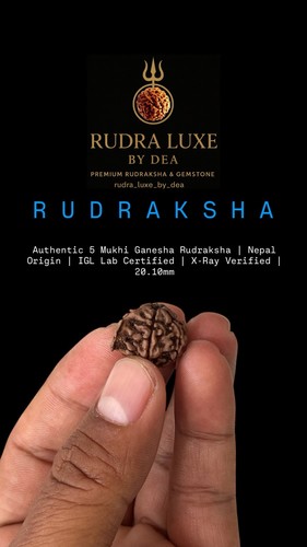 Authentic mukhi ganesha - 5,