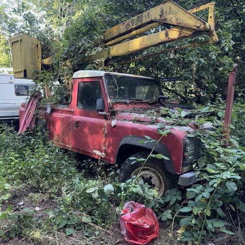 Land rover cherry - cherry, picker