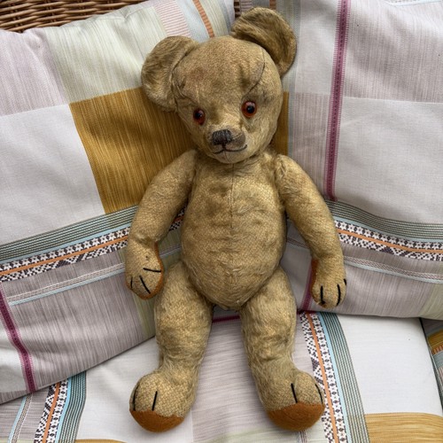 Vintage pedigree teddy - vintage, bear