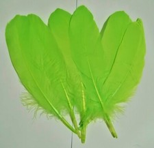 PACK OF 6 X GOOSE SHOULDER