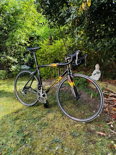 Giant tcr road bike - giant,