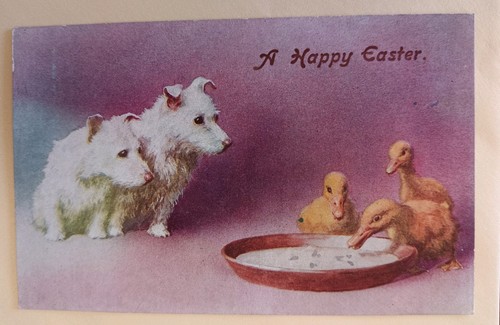 Very cute dog postcard - very,