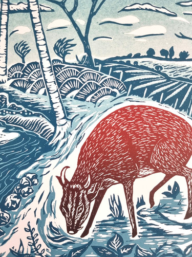 Muntjac original linocut - muntjac, print