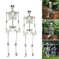 30-170cm Poseable Full Life Size Human Skeleton Prop Home Halloween Party Decor