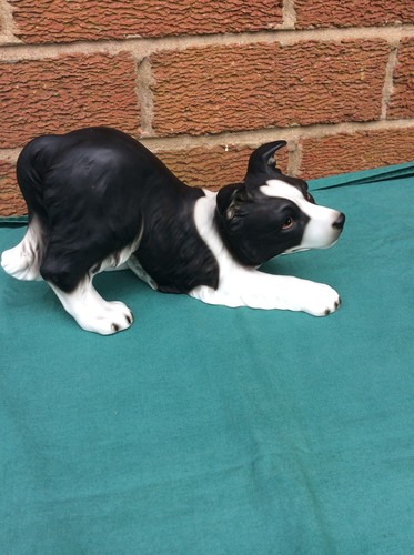 Harvey knox hhh dog border - knox,
