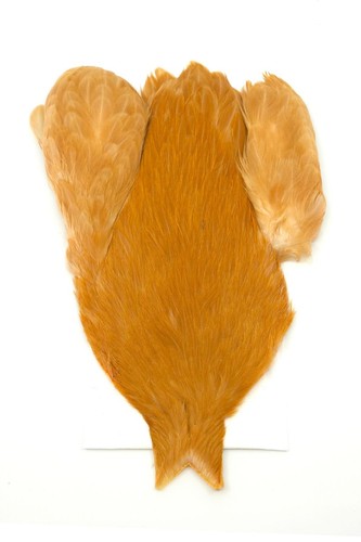 Ifs whiting genetic hen neck - ifs,