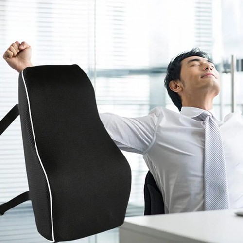 Lumbar back support - support, cushion