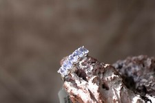 AA Tanzanite 9k White Gold