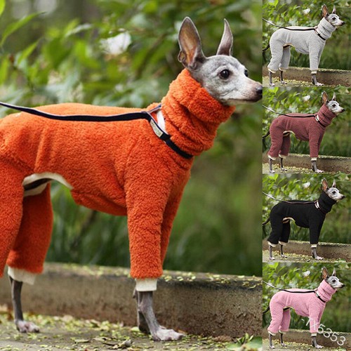 Pet dog winter jumper - winter, sweater