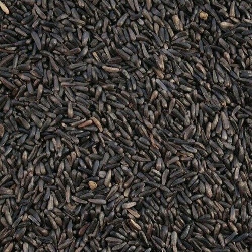 Niger seeds 50g 1kg - niger, wild