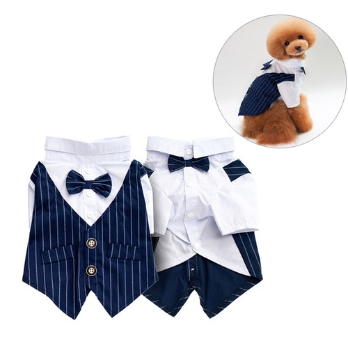 Formal dog clothing - clothing, for