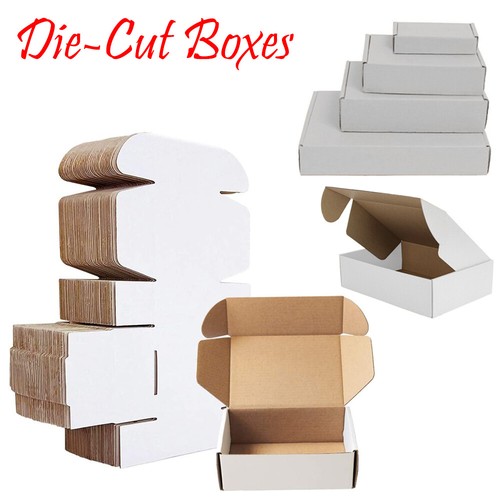 White die cut folding lid - cut,