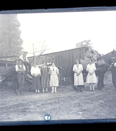 Glass negative farming horse - negative,