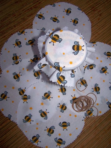 Large bumble bee - 10,