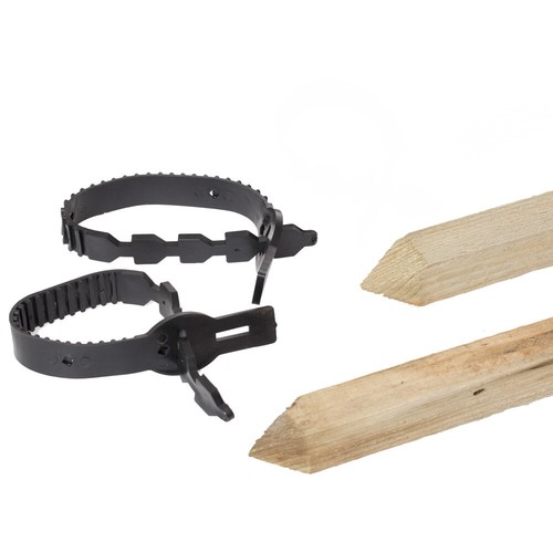 Tree planting kit - tree, double