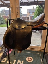 John Whitaker 17.5"  Jump