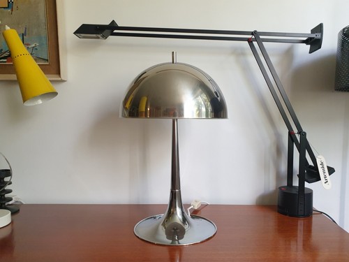 Goffredo reggiani mushroom - goffredo,