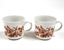 Vintage Mitterteich Bavaria Cups Floral Flowers 2pcs Porcelain BA054