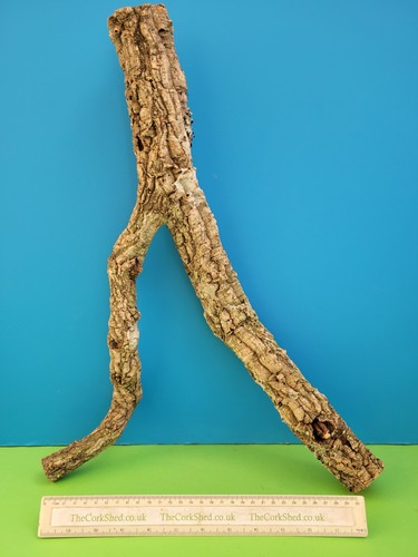 Cork bark branch - bark,