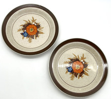 Vtg Mikasa Studio Glaze 8” Floral Plates Set Of 2 Memories P2405 70s Country