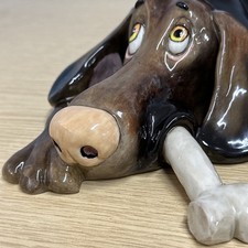 Pets With Personality Arora