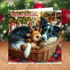 Border Collie Dog Christmas Card, Sheepdog