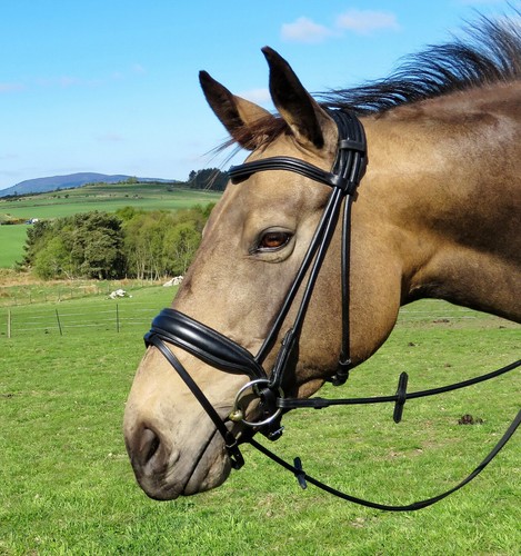 Fss anatomical rolled bridle - fss,