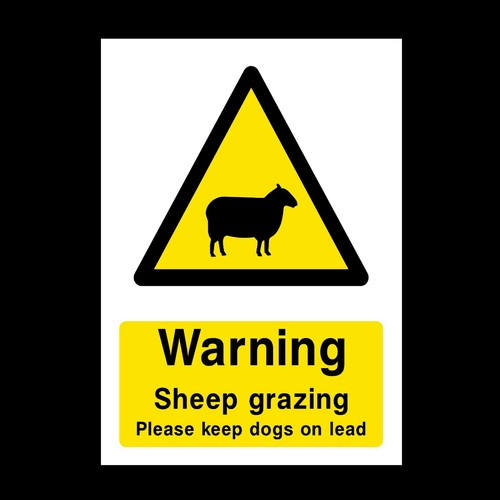 Warning sheep grazing - warning,