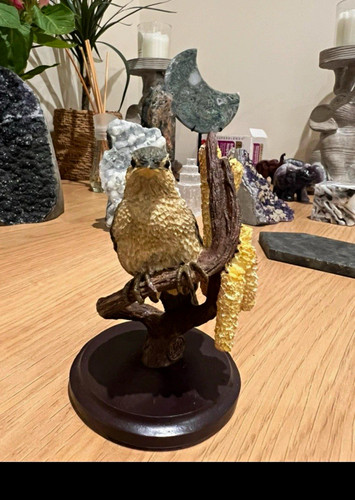 The country bird - country,