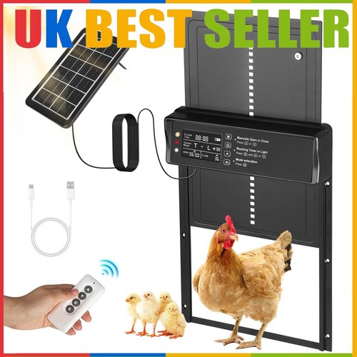 Chicken door opener - chicken, auto