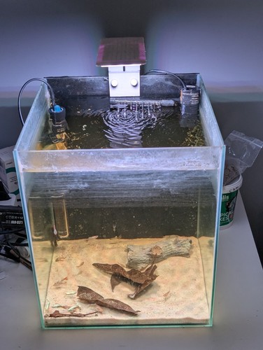 Swell 28cm cube tropical led - cube,