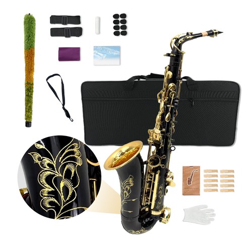 Professional alto saxophone - professional,
