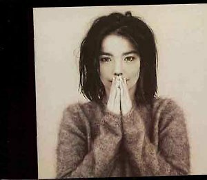 Björk debut vinyl - björk,