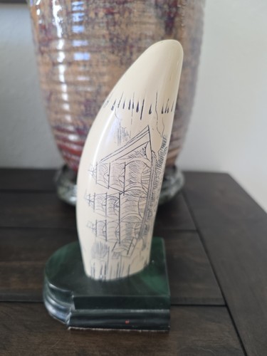 Sperm whale tooth scrimshaw