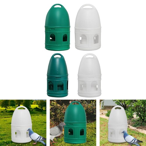 Bird water drinker - bird,